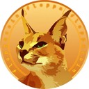 Coin Logo