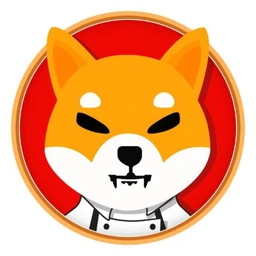 Coin Logo