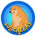 Coin Logo