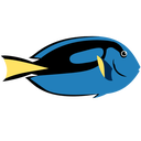 Coin Logo