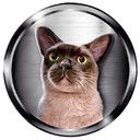 Coin Logo