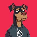 Coin Logo