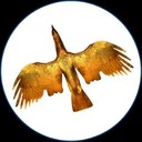 Coin Logo