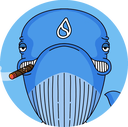 Coin Logo