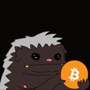 Coin Logo