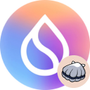 Coin Logo