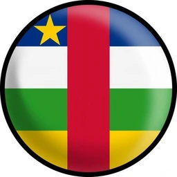 Coin Logo