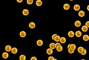 Coin Logo