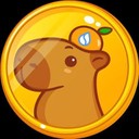 Coin Logo