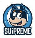 Coin Logo