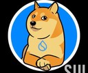 Coin Logo