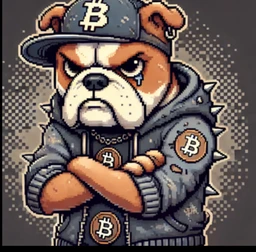 Coin Logo