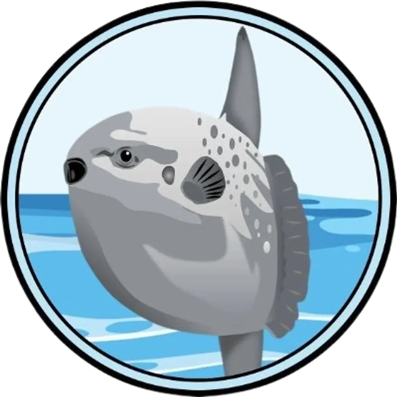 Coin Logo