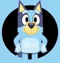 Coin Logo