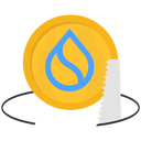Coin Logo
