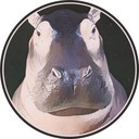 Coin Logo