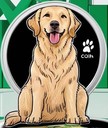 Coin Logo