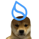 Coin Logo