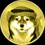 Coin Logo
