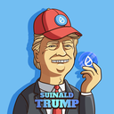 Coin Logo