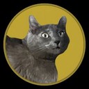 Coin Logo