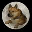 Coin Logo