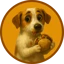 Coin Logo