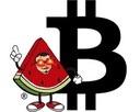 Coin Logo