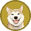 Coin Logo