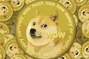 Coin Logo