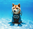 Coin Logo