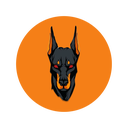 Coin Logo