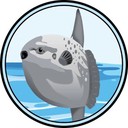 Coin Logo