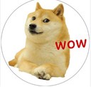 Coin Logo