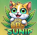 Coin Logo