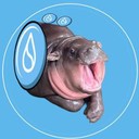 Coin Logo