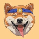 Coin Logo