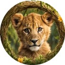 Coin Logo