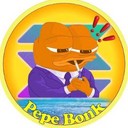 Coin Logo