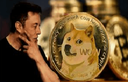 Coin Logo