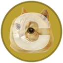 Coin Logo