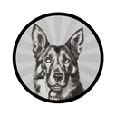 Coin Logo